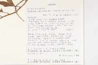 登錄號:S093920藏品圖，第2張