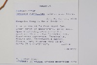 登錄號:S093940藏品圖，第2張
