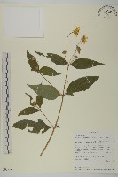 登錄號:S093956藏品圖，第1張