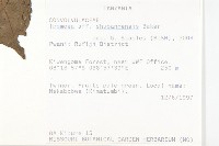 登錄號:S093974藏品圖，第2張