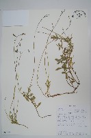 登錄號:S093979藏品圖，第1張
