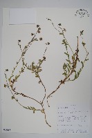 登錄號:S093987藏品圖，第1張