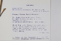 白燭蘆莉藏品圖，第2張