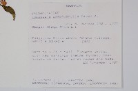 登錄號:S094049藏品圖，第2張