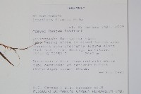 登錄號:S094053藏品圖，第2張