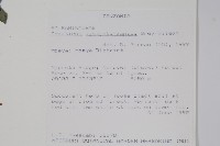 登錄號:S094058藏品圖，第2張