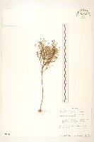登錄號:S094083藏品圖，第1張