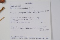 登錄號:S094098藏品圖，第2張