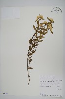 登錄號:S094101藏品圖，第1張