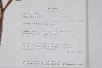 登錄號:S094114藏品圖，第2張