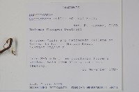 登錄號:S094130藏品圖，第2張