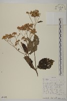 登錄號:S094152藏品圖，第1張