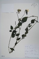 登錄號:S094198藏品圖，第1張