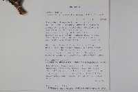 登錄號:S094278藏品圖，第2張