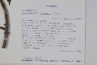 登錄號:S094285藏品圖，第2張