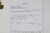 登錄號:S094313藏品圖，第2張