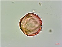 登錄號:S094363藏品圖，第3張