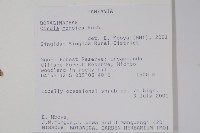 登錄號:S094368藏品圖，第2張