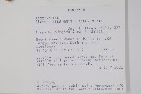 登錄號:S094376藏品圖，第2張