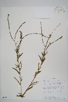 登錄號:S094380藏品圖，第1張