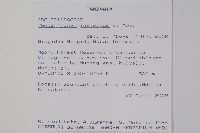 登錄號:S094388藏品圖，第2張