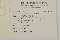 雷公藤藏品圖，第2張