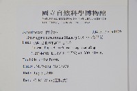 哈哼花藏品圖，第2張
