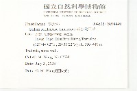 石碇佛甲草藏品圖，第2張