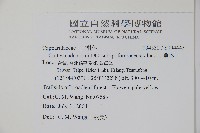 魚木藏品圖，第2張