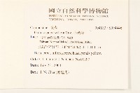 小米菊藏品圖，第2張