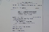 冇骨消藏品圖，第2張