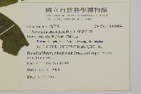 佩羅特木藏品圖，第2張