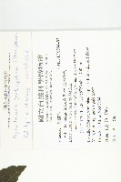 絞股藍藏品圖，第2張