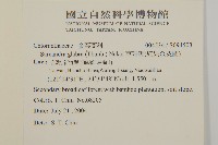 草珊瑚、紅果金粟蘭藏品圖，第2張