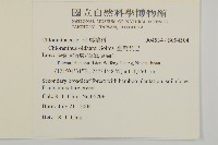 臺灣及己藏品圖，第2張