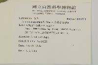 珍珠蒿、奇蒿藏品圖，第2張