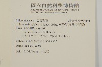 草珊瑚、紅果金粟蘭藏品圖，第2張