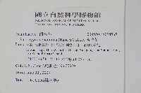 哈哼花藏品圖，第2張
