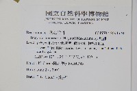 水鴨腳藏品圖，第2張