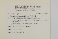 加拿大蓬藏品圖，第2張
