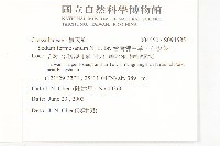 台灣佛甲草、石板菜藏品圖，第2張