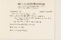 一枝香藏品圖，第2張