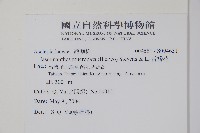 舌瓣花藏品圖，第2張