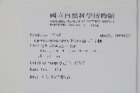 蘭邯千金榆藏品圖，第2張
