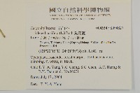 狗筋蔓藏品圖，第2張
