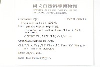 貓兒菊藏品圖，第2張