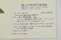 刺果衛矛藏品圖，第2張