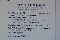 珊瑚樹藏品圖，第2張