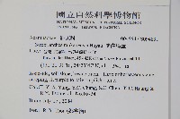 蘭嵌馬藍藏品圖，第2張
