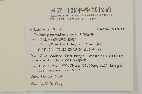 雷公藤藏品圖，第2張